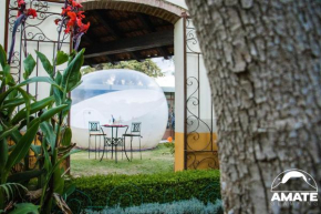 Glamping Amate - Hotel Burbuja Tlaxcala